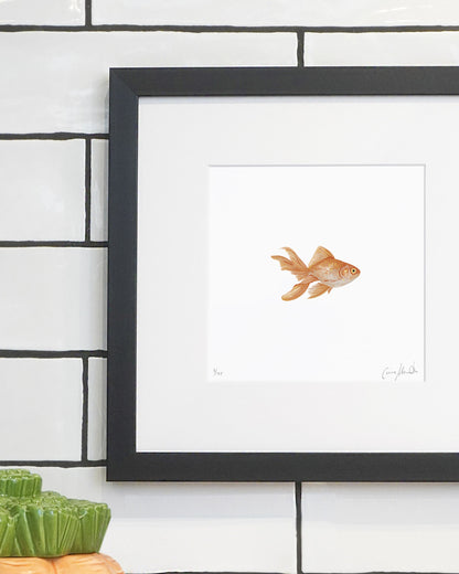 Goldfish Print