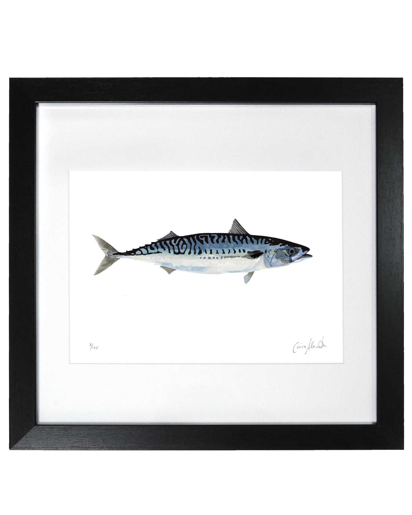 Mackerel Print