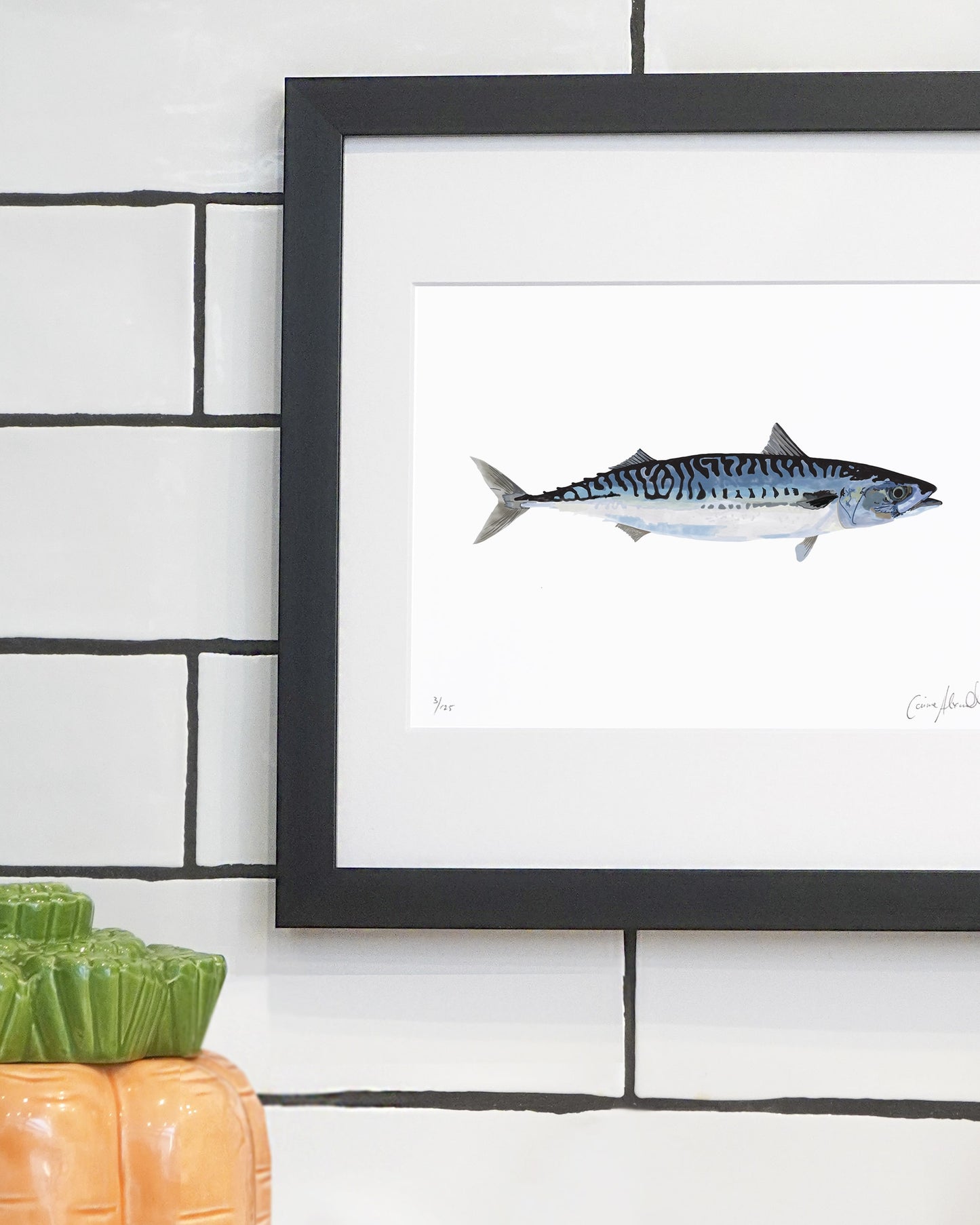 Mackerel Print