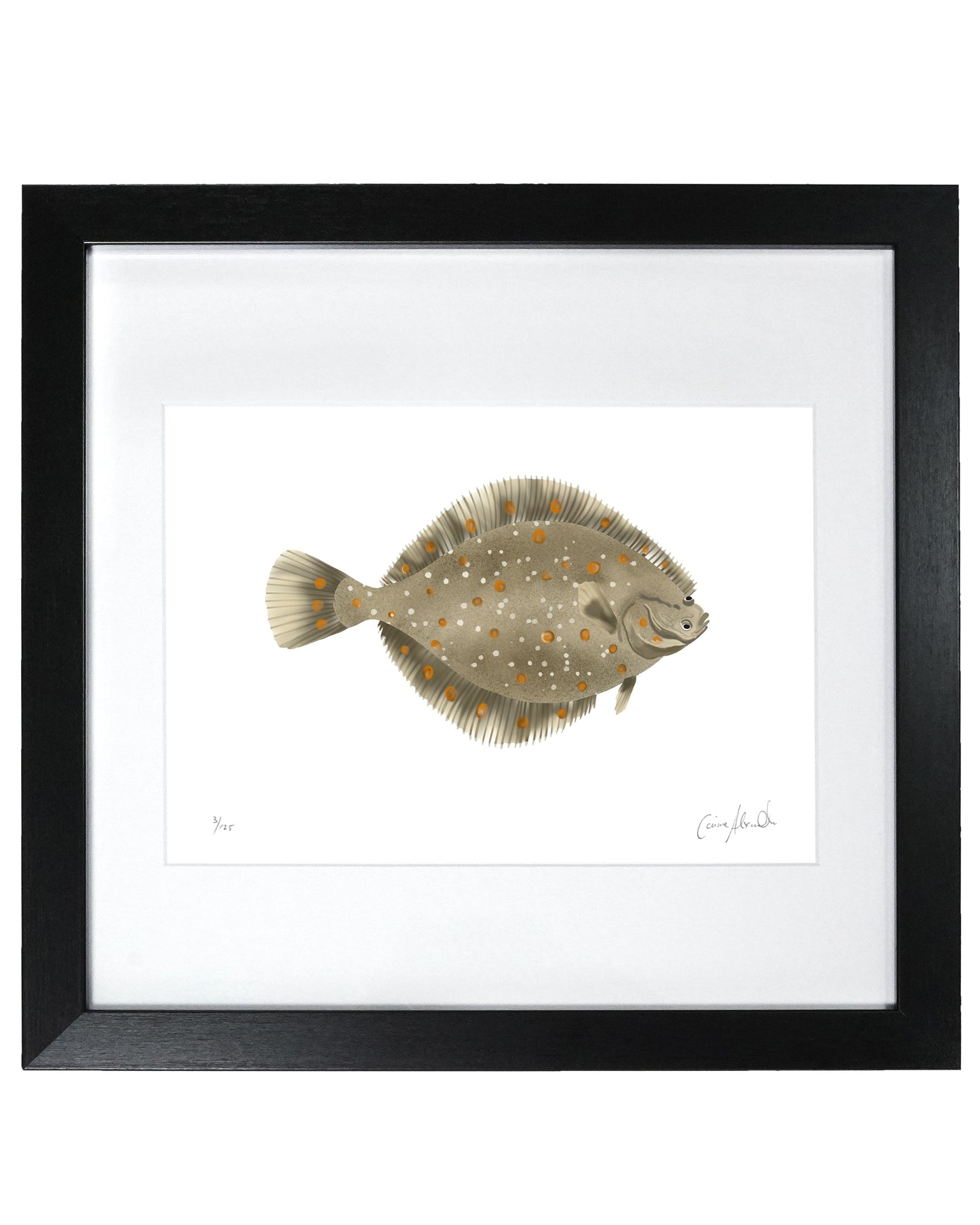 Plaice Print