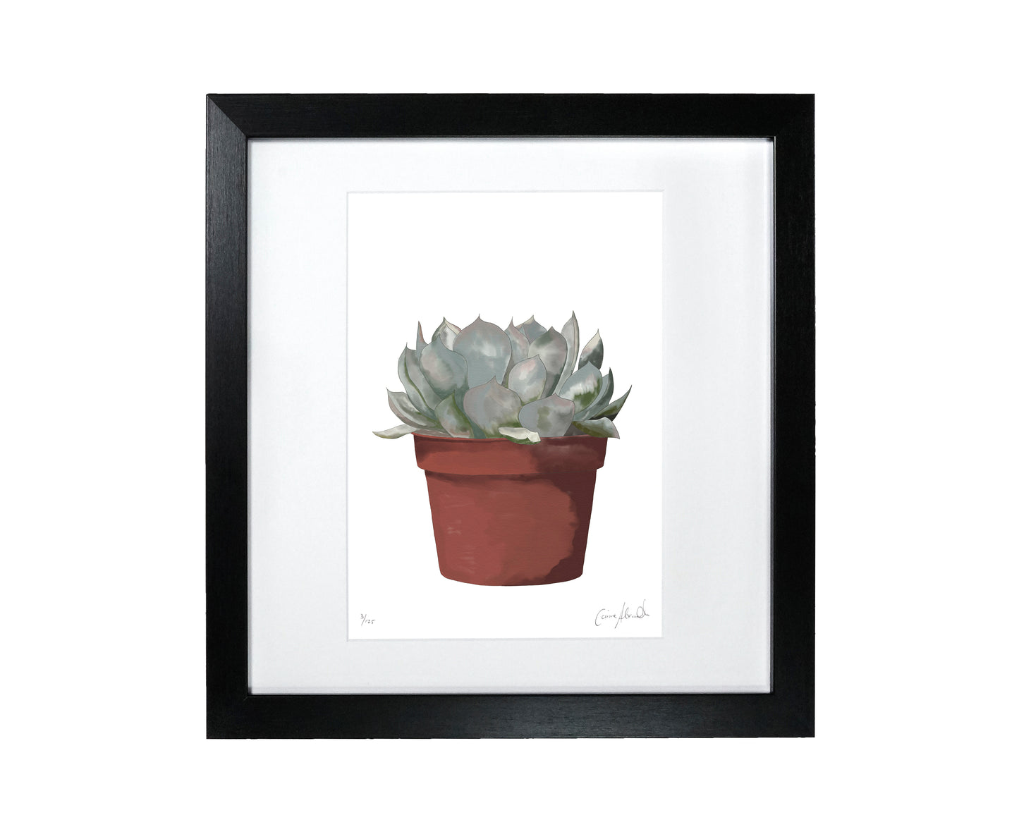 Plant Print - 50% OFF