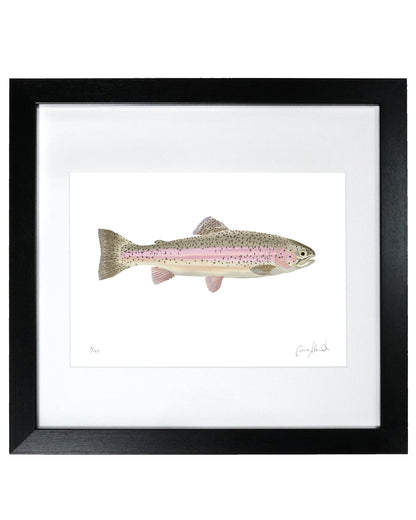 Rainbow Trout Print