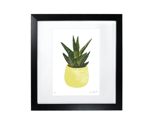 Plant Print - 50% OFF