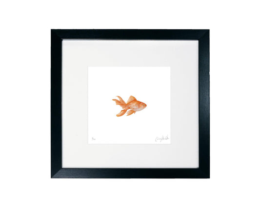 Goldfish art print